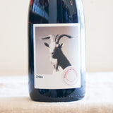 プラネット・モウラス シブー(赤)